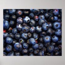 Blueberries Canvas Posters