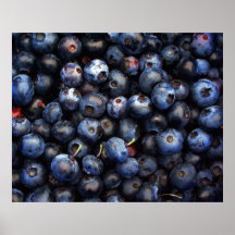 Blueberries Canvas Posters