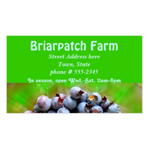 Blueberries Farm Business Card (front side)