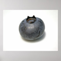 Blueberries I have Known 13 Print