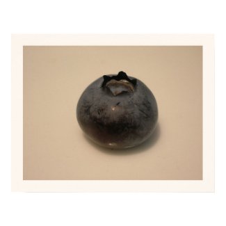 Blueberries I have Known 14 print