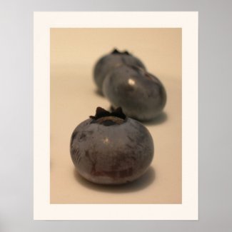 Blueberries I have Known 3 print