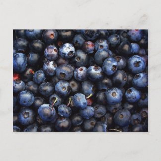 Blueberries postcard