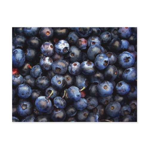 Blueberries postcard