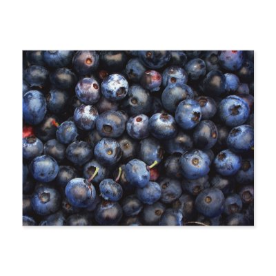 Blueberries Postcards by jmvigil