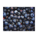 Blueberries postcards