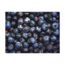 Blueberries postcards