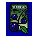 Blueberries Postcards