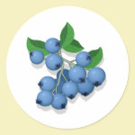 Blueberries Round Stickers