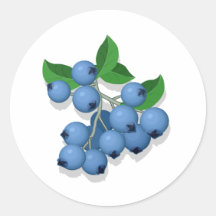 Blueberries Round Stickers