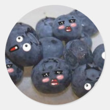 blueberries stickers