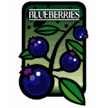 Blueberries t-shirts