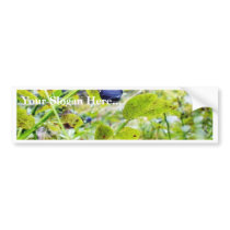 Blueberries With Green Leaves Bumper Stickers