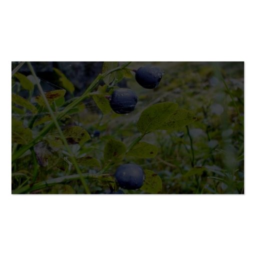 Blueberries With Green Leaves Business Card Templates (back side)