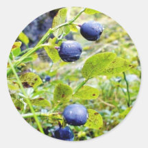 Blueberries With Green Leaves Stickers