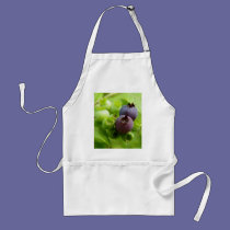 Blueberry aprons