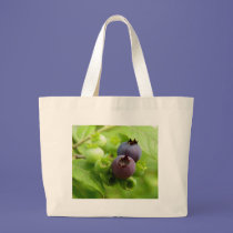 Blueberry bags