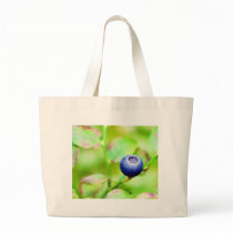 Blueberry Bag
