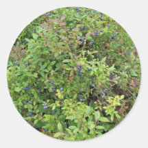 Blueberry Bush Round Sticker