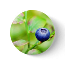 Blueberry Pins