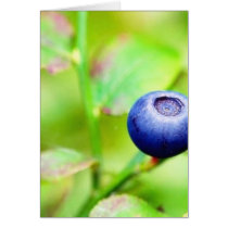 Blueberry Card
