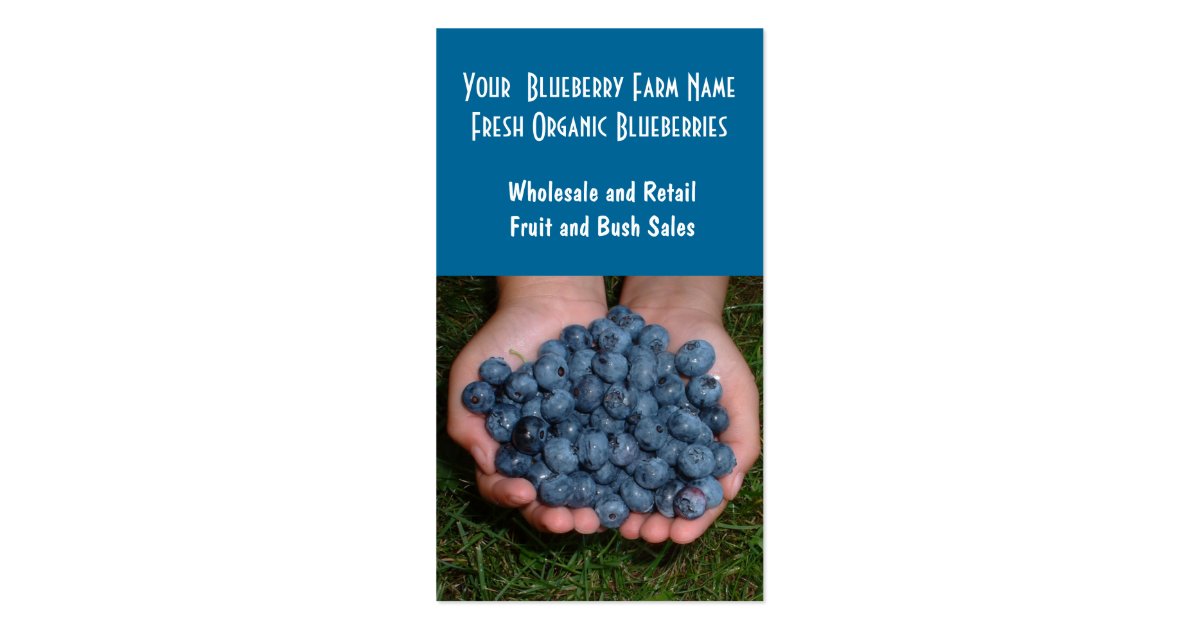 business plan for blueberry farm
