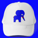 Blueberry hats