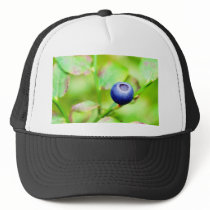 Blueberry Mesh Hat