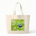 Blueberry In The Forest