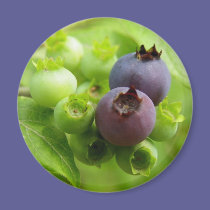 Blueberry magnets
