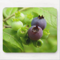 Blueberry mousepads