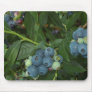 Blueberry Mouse Mats