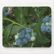 Blueberry mousepads