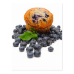 Blueberry Muffin Post Card