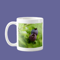 Blueberry mugs