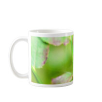 Blueberry Mug