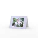 Blueberry notecard