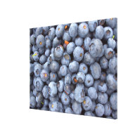 Blueberry photography. stretched canvas prints