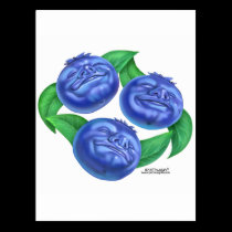 blueberry postcards