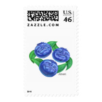 blueberry stamp