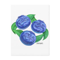 blueberry postcards