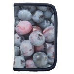 Blueberry Rickshaw Bagworks Day Planner Folio