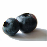 Blueberry sculpture photo sculpture