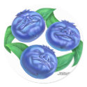 blueberry stickers