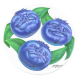 blueberry stickers