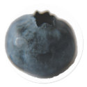 Blueberry etiqueta pegatinas by dave_boyer Blueberry etiqueta pegatinas