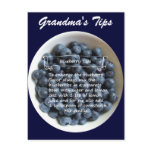 Blueberry Tips Postcard Blueberry Tips Postcard