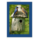 bluebird anniversary card