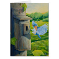 Bluebird at Sunrise card