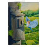 Bluebird at Sunrise Card